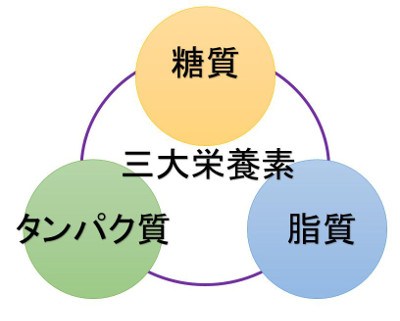 栄養について！！