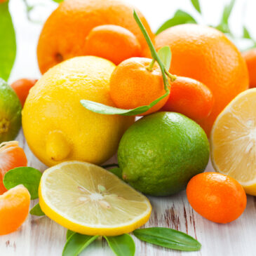 ビタミン、ミネラルってなに？