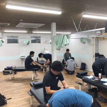 テーピングセミナー