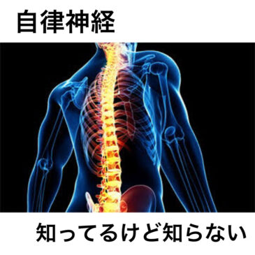 【自律神経　八女市　整骨院】といえば！げんき整骨院