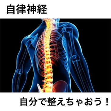 【自律神経　セルフケア　整骨院】といえば！げんき整骨院！